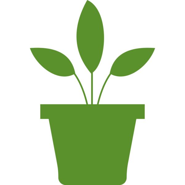 Plant 2 Thumbnail
