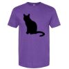 Unisex Softstyle® CVC T-Shirt Thumbnail