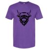 Unisex Softstyle® CVC T-Shirt Thumbnail
