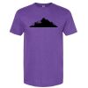 Unisex Softstyle® CVC T-Shirt Thumbnail