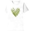 Sofspun Crewneck T-Shirt Thumbnail