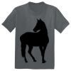 The Concert Tee ® Thumbnail