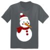 The Concert Tee ® Thumbnail